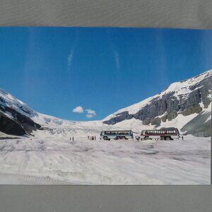 Vintage Postcard - Columbia Icefield Snocoaches - High Country